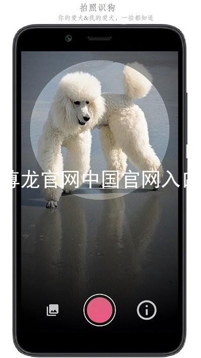 尊龙官网中国官网入口